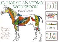 Book Cover for Horse Anatomy Workbook by Maggie Raynor