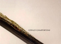 Book Cover for Gerald Giamportone by Brandon Taylor, Stephen Foster