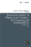 Book Cover for Economic Action in Theory and Practice by Donald C. Wood