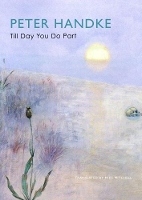 Book Cover for Till Day You Do Part by Peter Handke