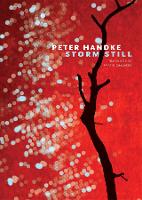 Book Cover for Storm Still by Peter Handke