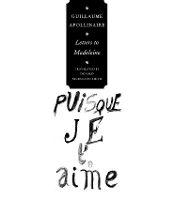 Book Cover for Letters to Madeleine by Guillaume Apollinaire