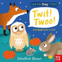 Book Cover for Can You Say It Too? Twit! Twoo! by Nosy Crow Ltd