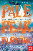 Book Cover for Pale Peak Burning by Paula Harrison