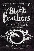 Book Cover for Black Feathers by Joseph D'Lacey
