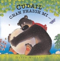 Book Cover for Cudail Chan Fhaigh Mi by David Melling