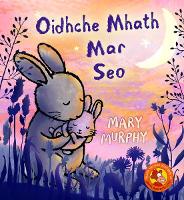 Book Cover for Oidhche Mhath Mar Seo by Mary Murphy