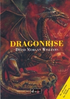 Book Cover for Dragonrise by David Morgan Williams