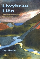 Book Cover for Llwybrau Llên by Emyr Llywelyn