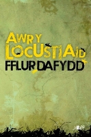Book Cover for Awr y Locustiaid by Fflur Dafydd