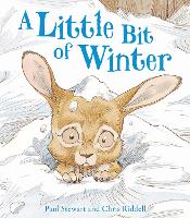 Book Cover for A Little Bit Of Winter by Paul Stewart