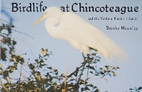 Book Cover for Birdlife at Chincoteague and the Virginia Barrier Islands by Brooke Meanley