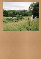 Book Cover for Widening the Lens: Photography, Ecology, and the Contemporary Landscape by Eric Crosby