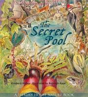 Book Cover for The Secret Pool by Kimberly Ridley, Rebekah Raye