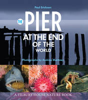 Book Cover for The Pier at the End of the World by Paul Erickson