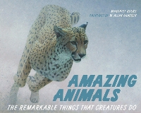 Book Cover for Amazing Animals by Margriet Ruurs