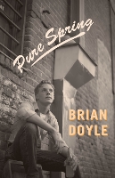 Book Cover for Pure Spring by Brian Doyle