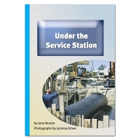 Book Cover for Under the Service Station by Jane Buxton