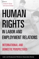 Book Cover for Human Rights in Labor and Employment Relations by James A Gross