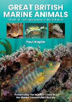 Book Cover for Great British Marine Animals by Paul Naylor