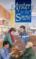 Book Cover for Mystery in the Snow by J M Evans