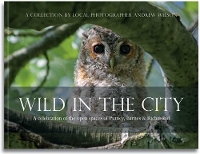 Book Cover for Wild in the City by Andrew Wilson