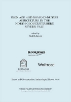 Book Cover for Iron Age and Romano-British Agriculture in the North Gloucestershire Severn Vale by Neil Holbrook