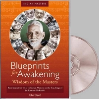 Book Cover for Blueprints for Awakening -- Wisdom of the Masters DVD by John David