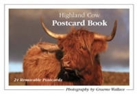 Book Cover for Highland Cow Postcard Book by Graeme Wallace