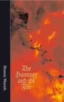 Book Cover for The Hammer and The Fire by Henry Marsh