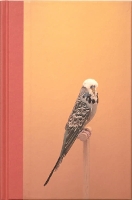 Book Cover for An Incomplete Dictionary of Show Birds by Luke Stephenson