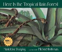 Book Cover for Here Is the Tropical Rain Forest by Madeleine Dunphy
