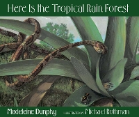 Book Cover for Here Is the Tropical Rain Forest by Madeleine Dunphy