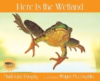 Book Cover for Here Is the Wetland by Madeleine Dunphy