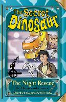 Book Cover for The Secret Dinosaur by N. S. Blackman