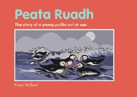 Book Cover for The Story of a Young Puffin Out at Sea by Fiona Hulbert