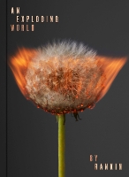 Book Cover for An Exploding World by Rankin