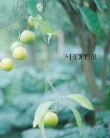Book Cover for The Hopper by Dede Cummings