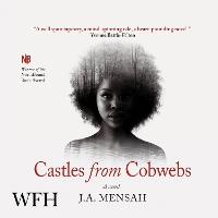 Book Cover for Castles from Cobwebs by J.A. Mensah