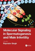 Book Cover for Molecular Signaling in Spermatogenesis and Male Infertility by Rajender Singh