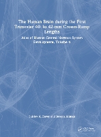 Book Cover for The Human Brain during the First Trimester 40- to 42-mm Crown-Rump Lengths by Shirley A Bayer, Joseph Altman