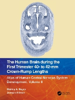 Book Cover for The Human Brain during the First Trimester 40- to 42-mm Crown-Rump Lengths by Shirley A Bayer, Joseph Altman