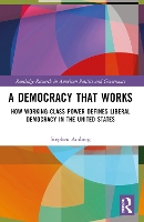 Book Cover for A Democracy That Works by Stephen University of Texas at San Antonio, USA Amberg