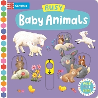 Book Cover for Busy Baby Animals by Ag Jatkowska