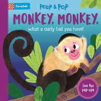 Book Cover for Monkey, Monkey, What A Curly Tail You Have! by Campbell Books