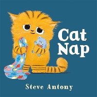 Book Cover for Cat Nap by Steve Antony