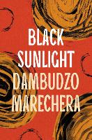 Book Cover for Black Sunlight by Dambudzo Marechera