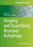 Book Cover for Imaging and Quantifying Neuronal Autophagy by Ben Loos