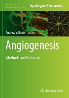 Book Cover for Angiogenesis by Andrew V Benest