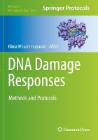 Book Cover for DNA Damage Responses by Nima Mosammaparast